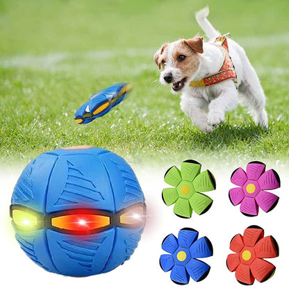 Purrs n Woof™ Dog Frisbee