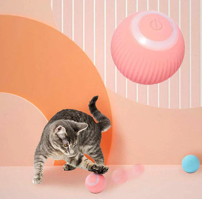 Purrs n Woof  Interactive Ball