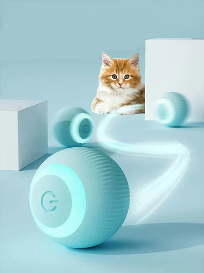 Purrs n Woof  Interactive Ball