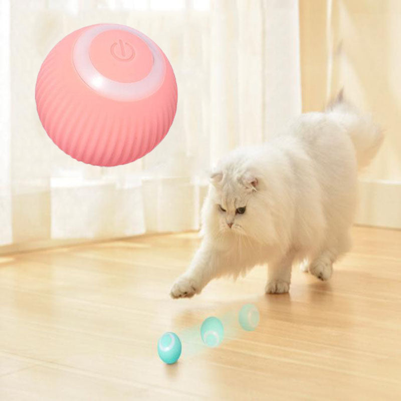 Purrs n Woof  Interactive Ball